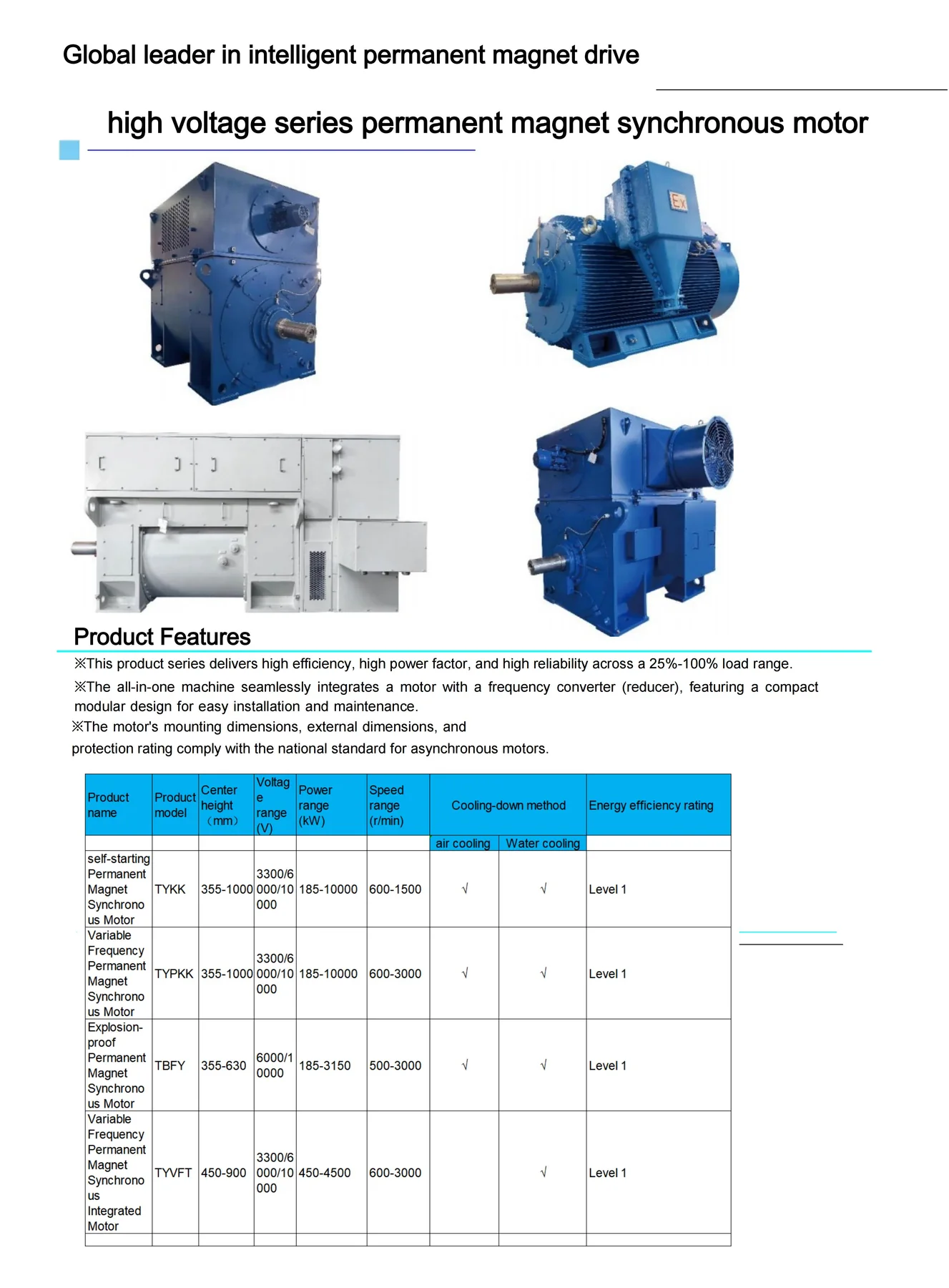 Permanent Magnet Motors · 06